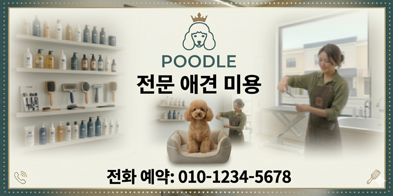 Partner Ad 3